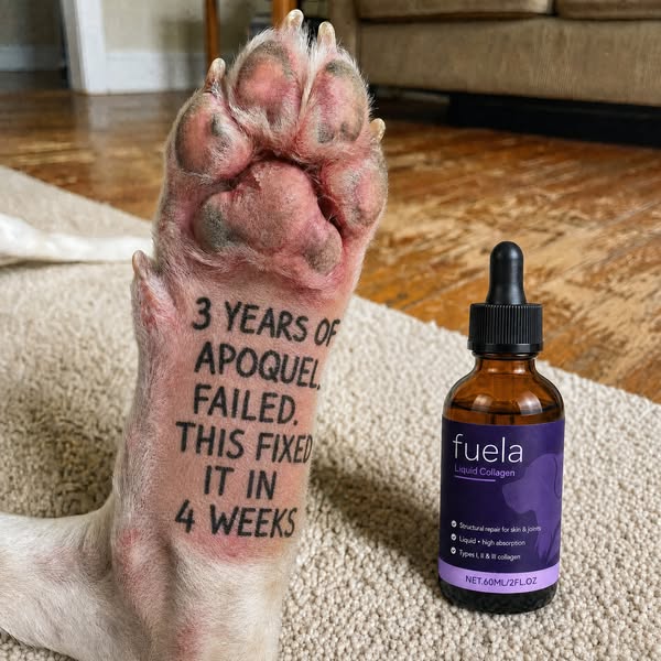 Fuela Premium Liquid Collagen