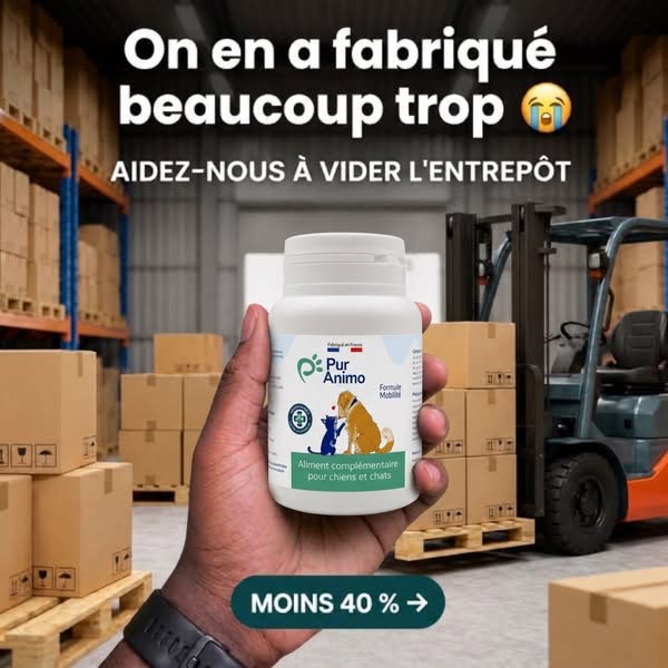 Facilite les mouvements au quotidien de votre chien