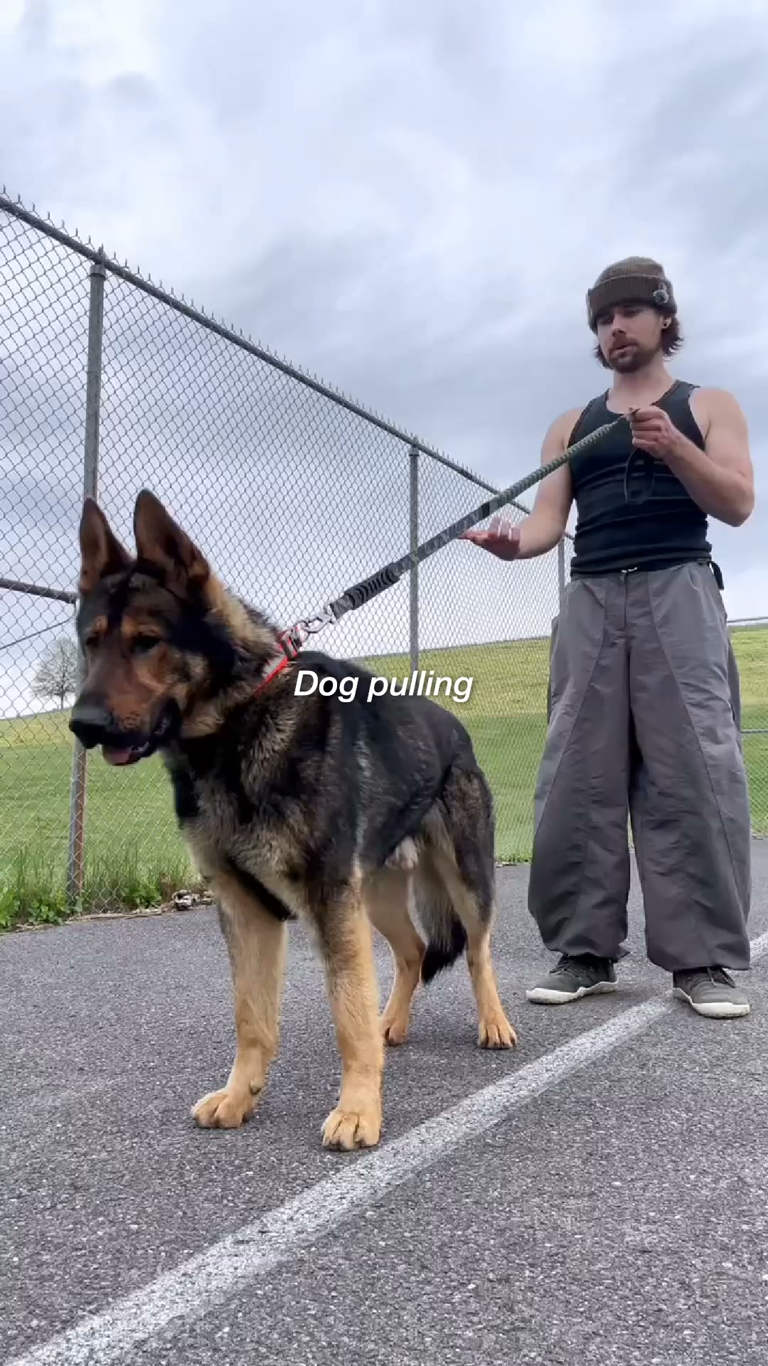 Peaceful Walks Without Needing Raw Force