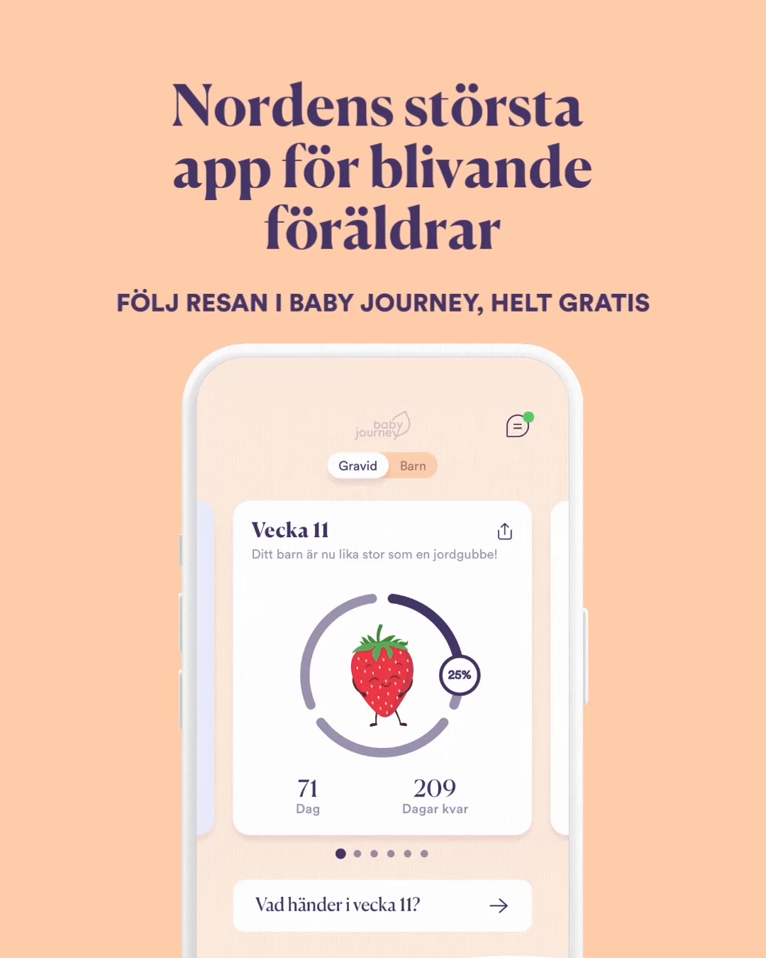 Följ din graviditet vecka för vecka