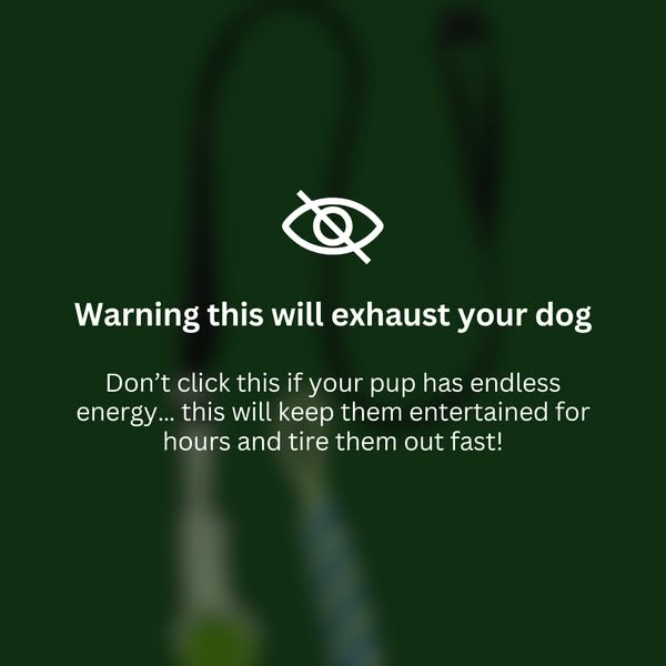 50% Off EssencePet Bungee Tug Toy