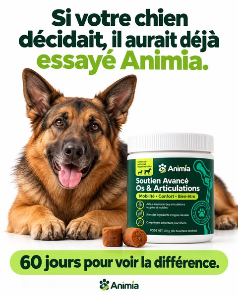 Dernière chance : offre jusqu’à ce soir