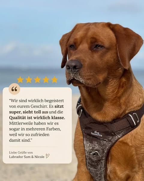 In 2-4 Tagen bei dir