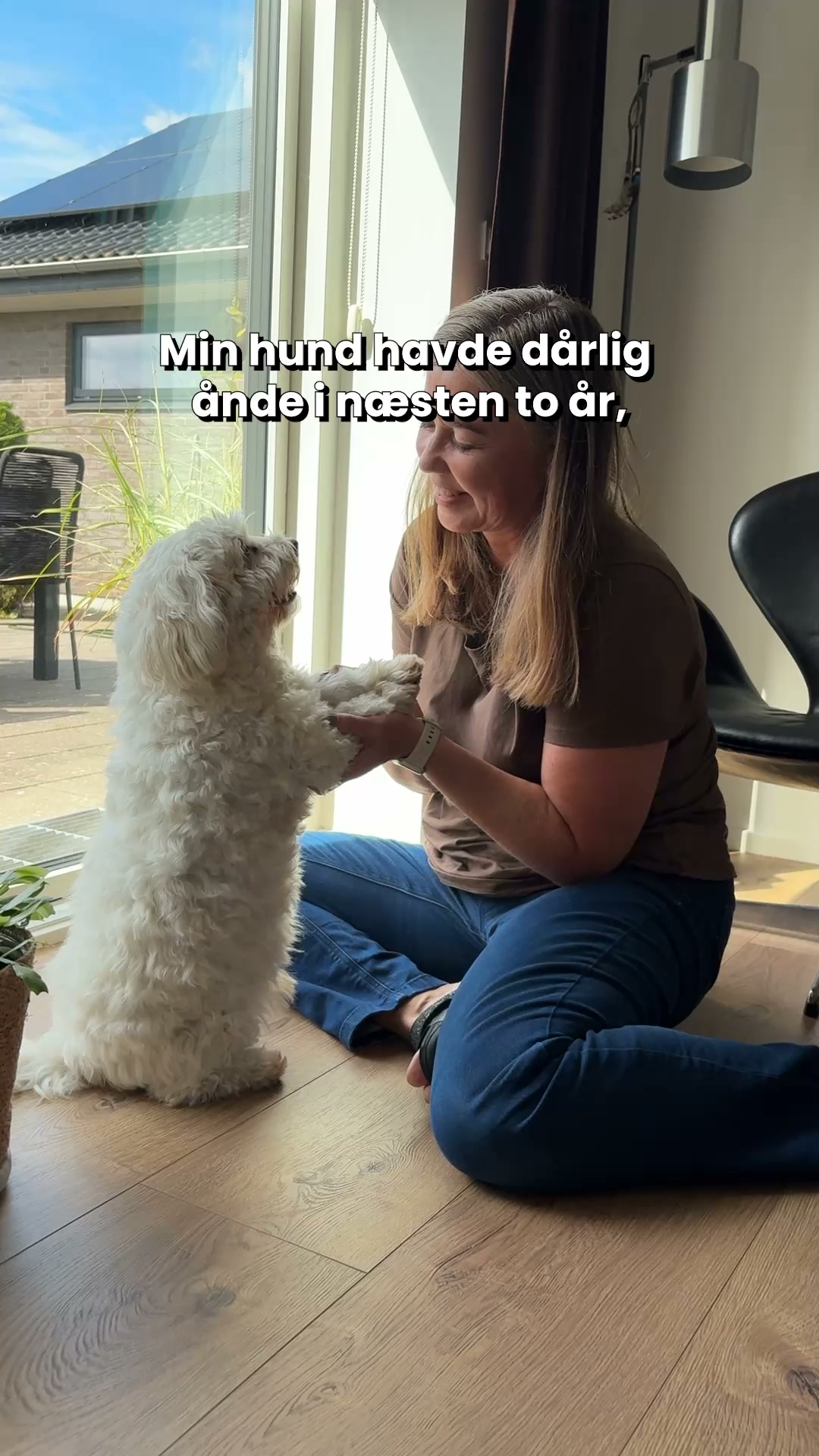 Støt Din Hunds Tænder og Tandkød