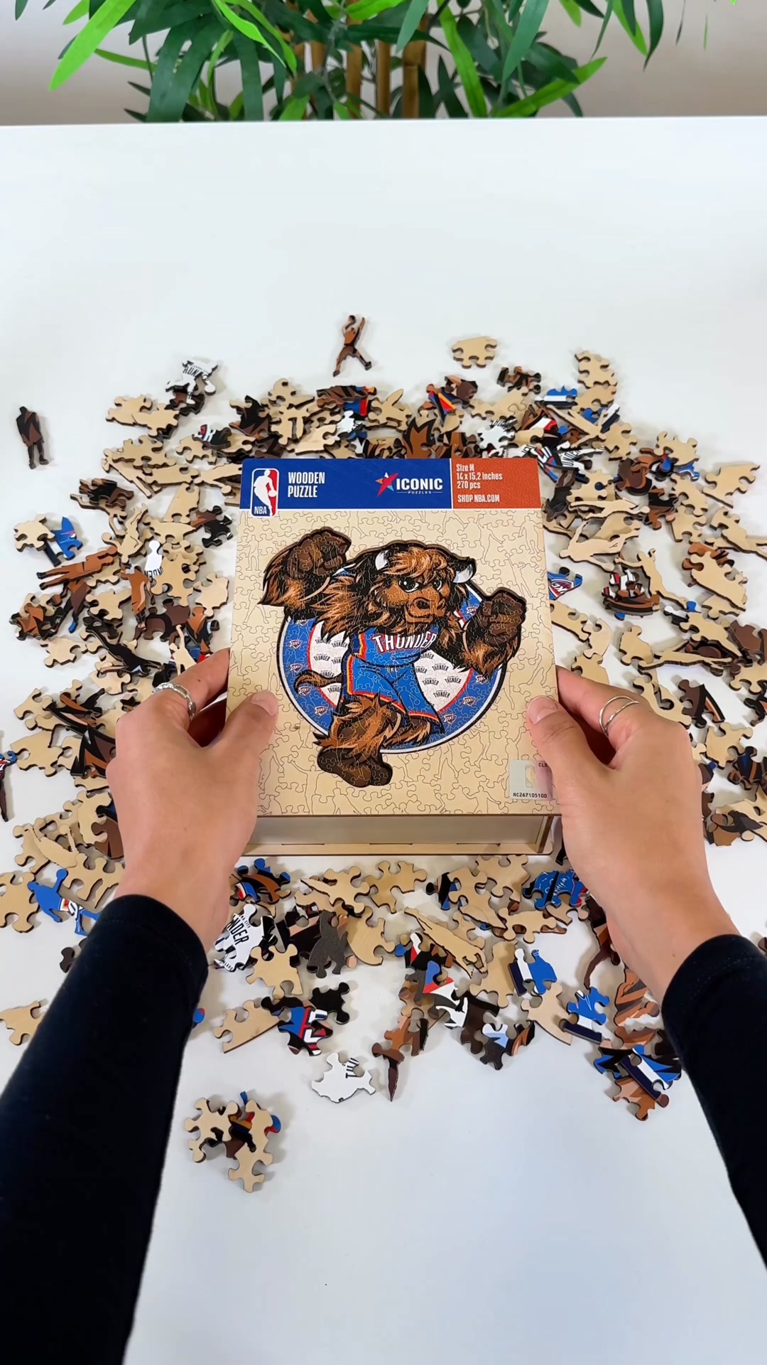 The Ultimate NBA Fan Gift