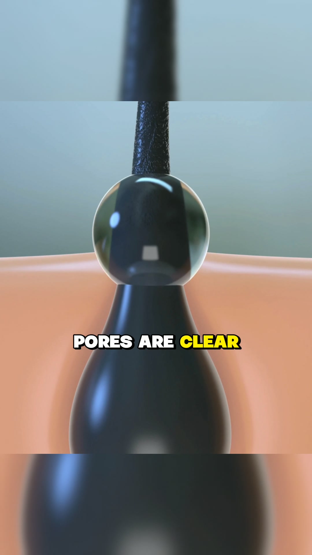 Join the 14-Day Haircare Challenge