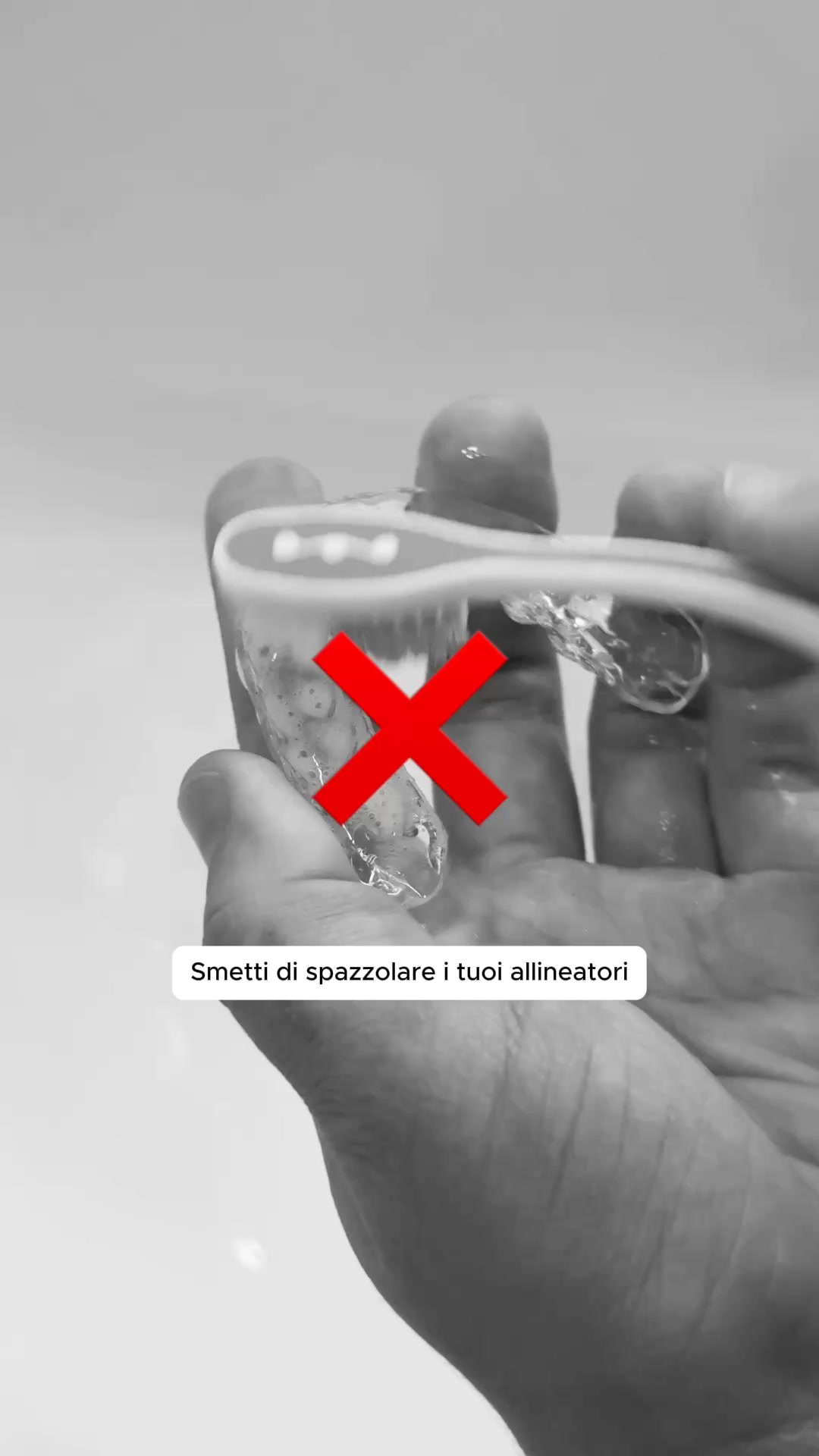 Spedizione gratuita