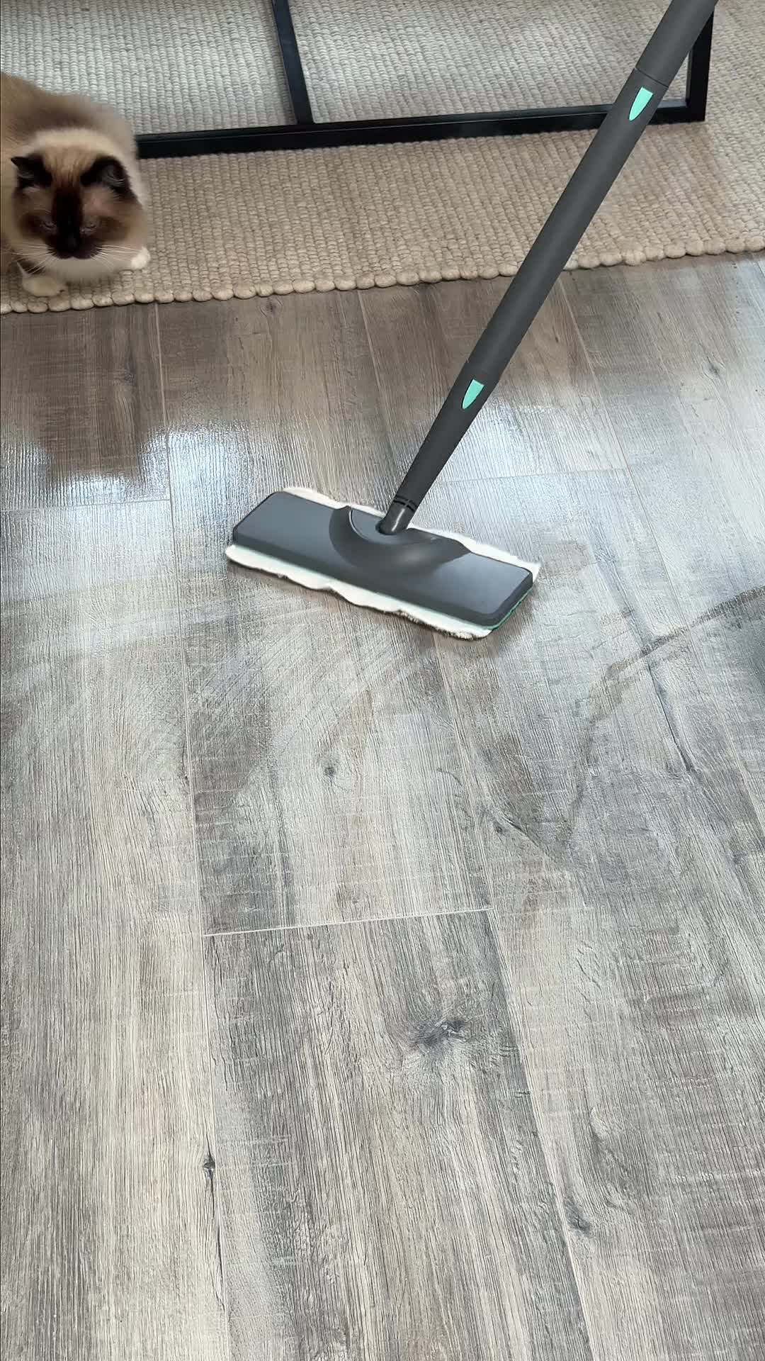 Stoom die schoonmaakt zónder chemicaliën