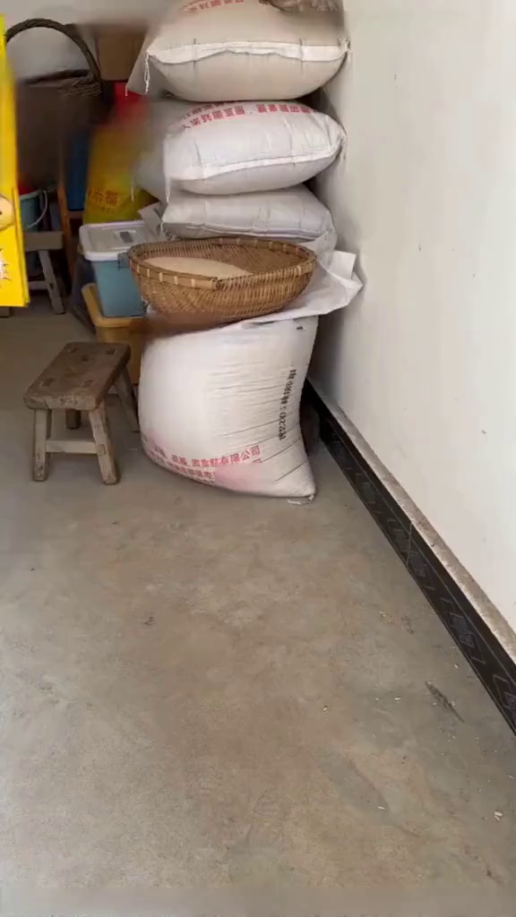 Anúncio de Roumant