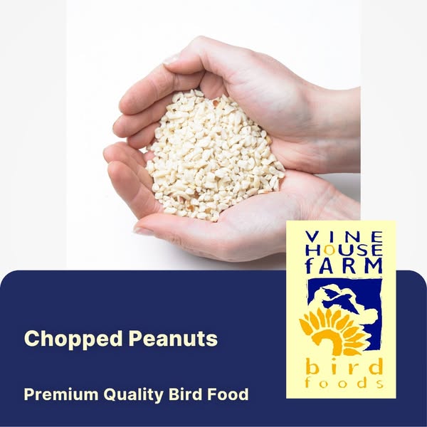 Chopped Peanuts