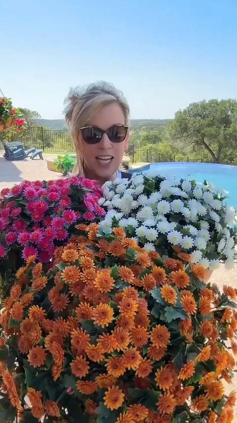 Last Day 70% OFF- Artificial Outdoor Sunset Mums Flowers - UV resistant, Waterproof, Windproof