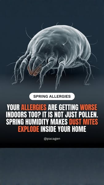 Pollen outside. Dust inside.