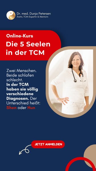 [NUR JETZT FÜR 49€] 5-Seelen-Kurs TCM
