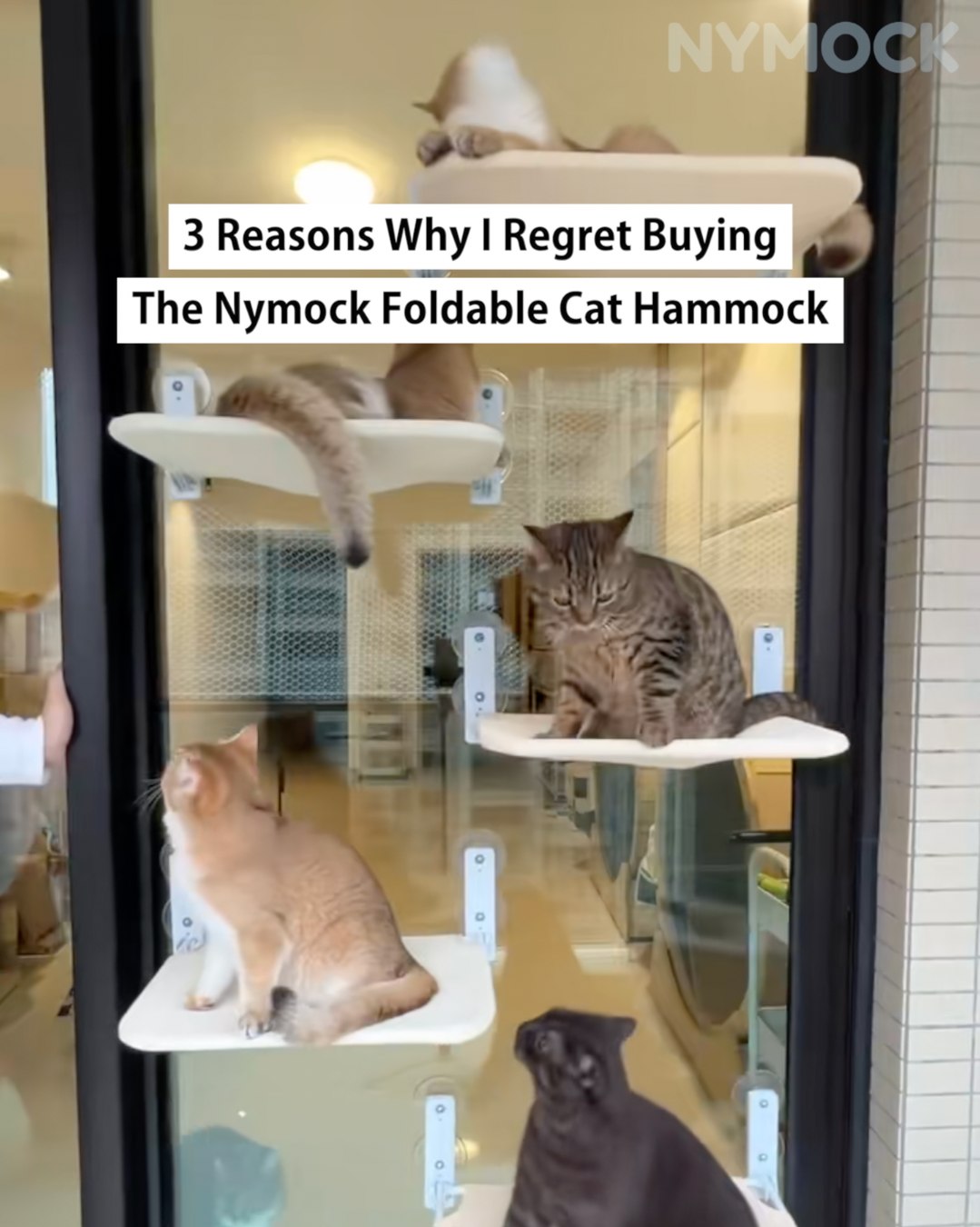 #1 Cat Hammocks Since 2021