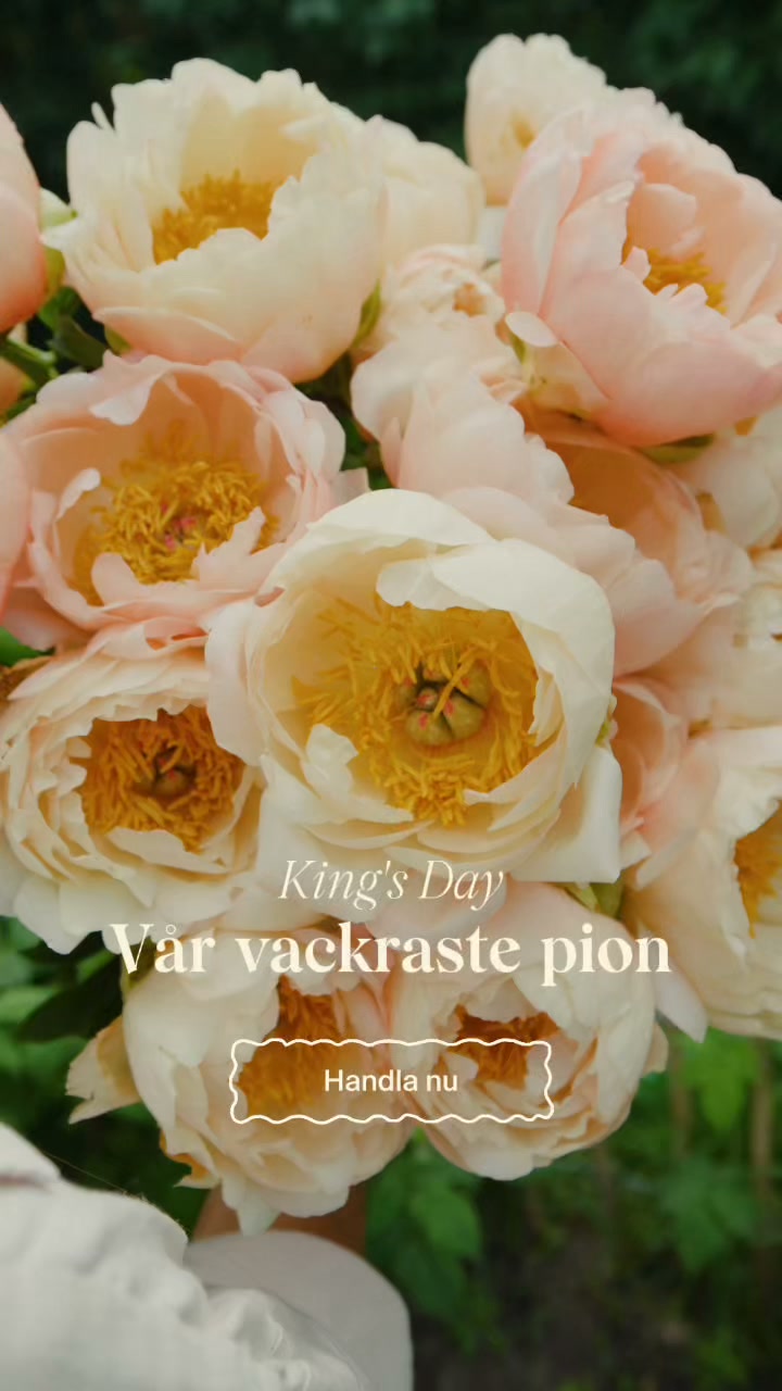 King´s day!