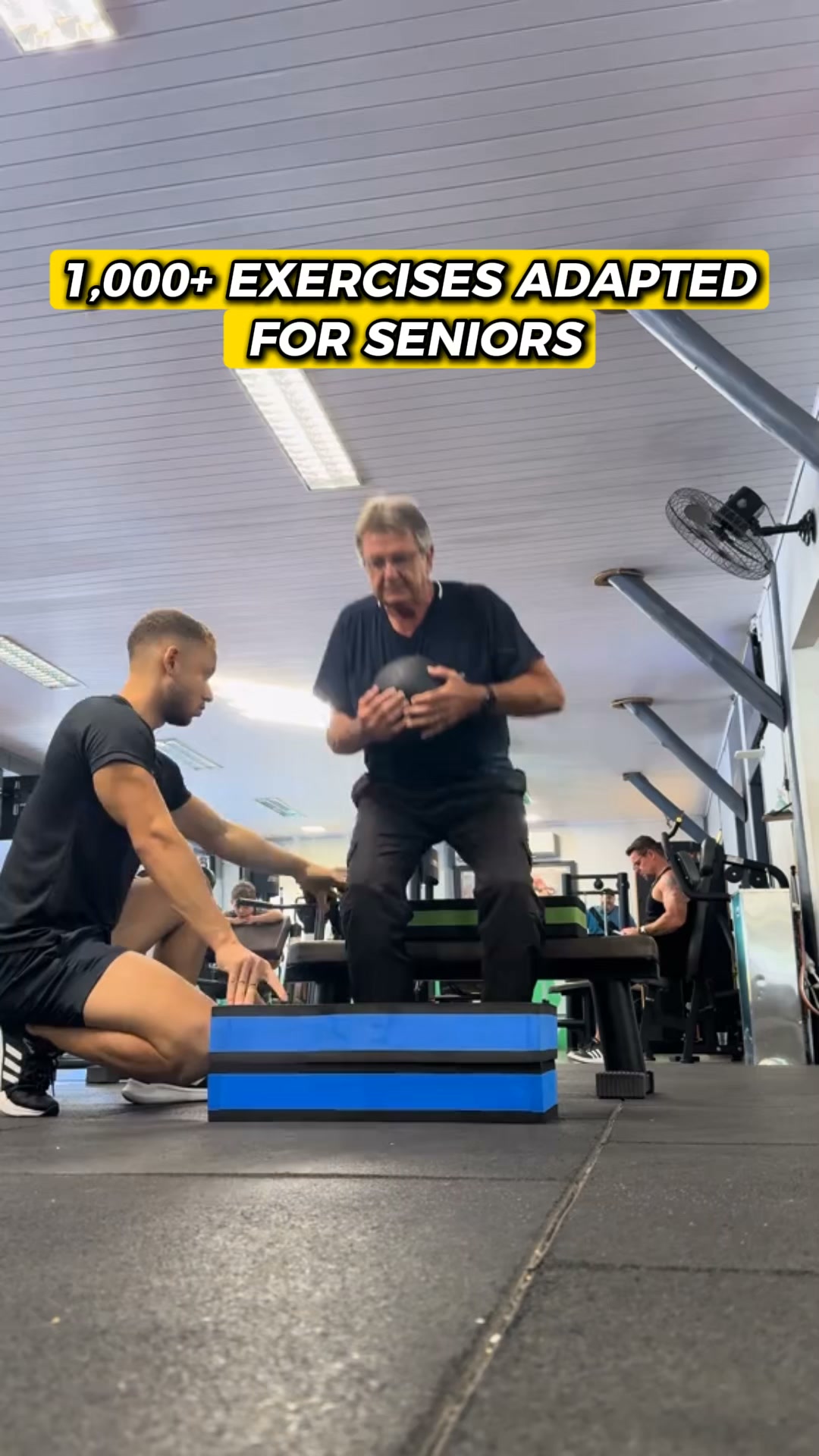 1,000+ Senior Exercises & Activities