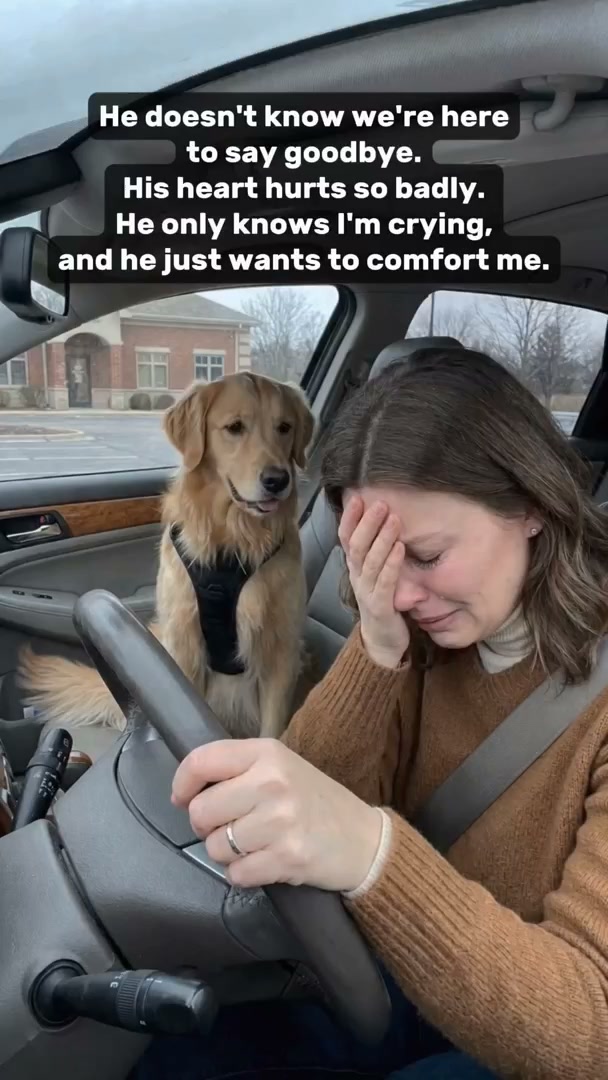 Your vet didn't tell you this about Apoquel