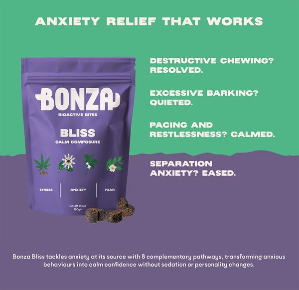 Bonza Bioactive Bites - Bliss Calming & Anxiety Support