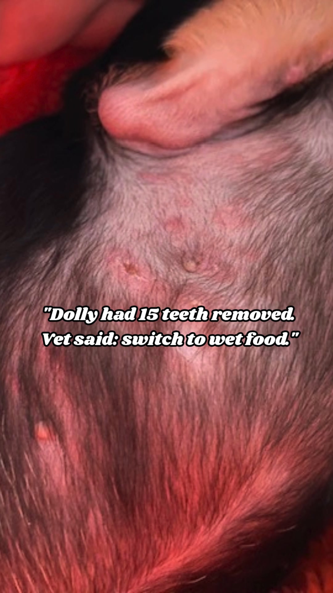 See Dolly's Transformation — £1.99 to Try