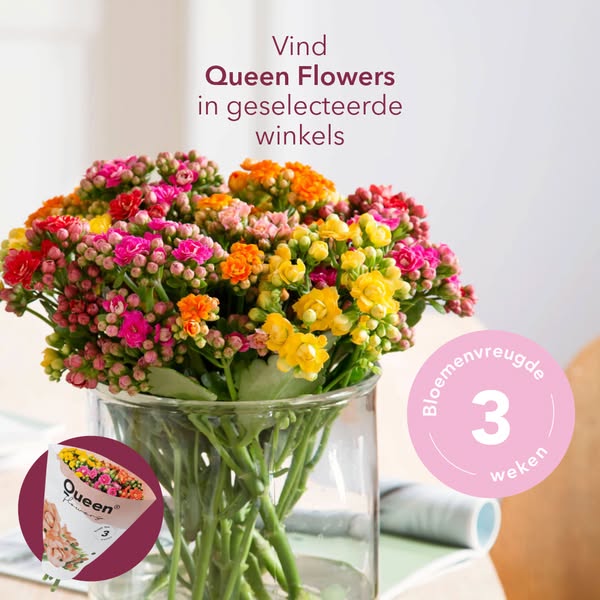 Bloeit minstens 3 weken