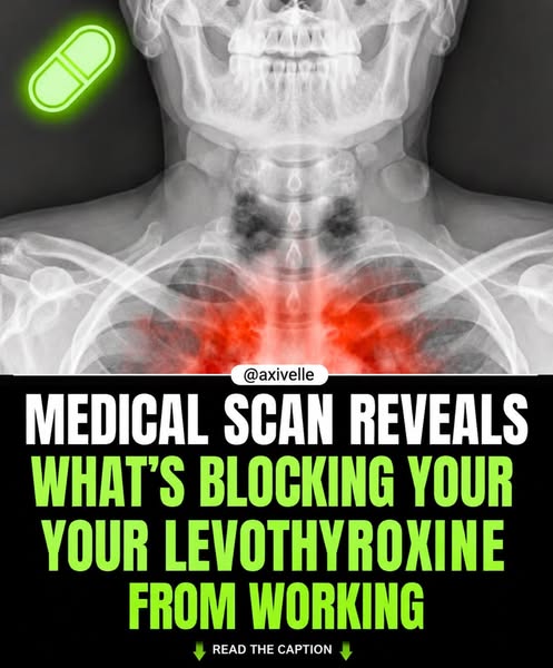 Click here and restore your levo dose ASAP