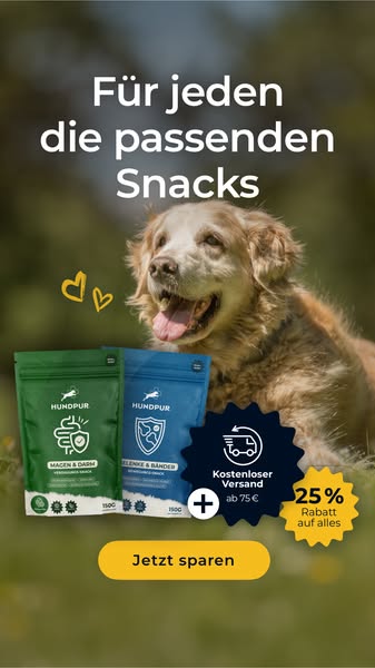 Jetzt 25% sparen