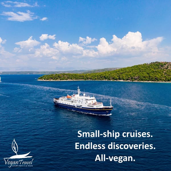 Your All-Vegan Home Away From Home. Where Adventure Meets Compassion.
