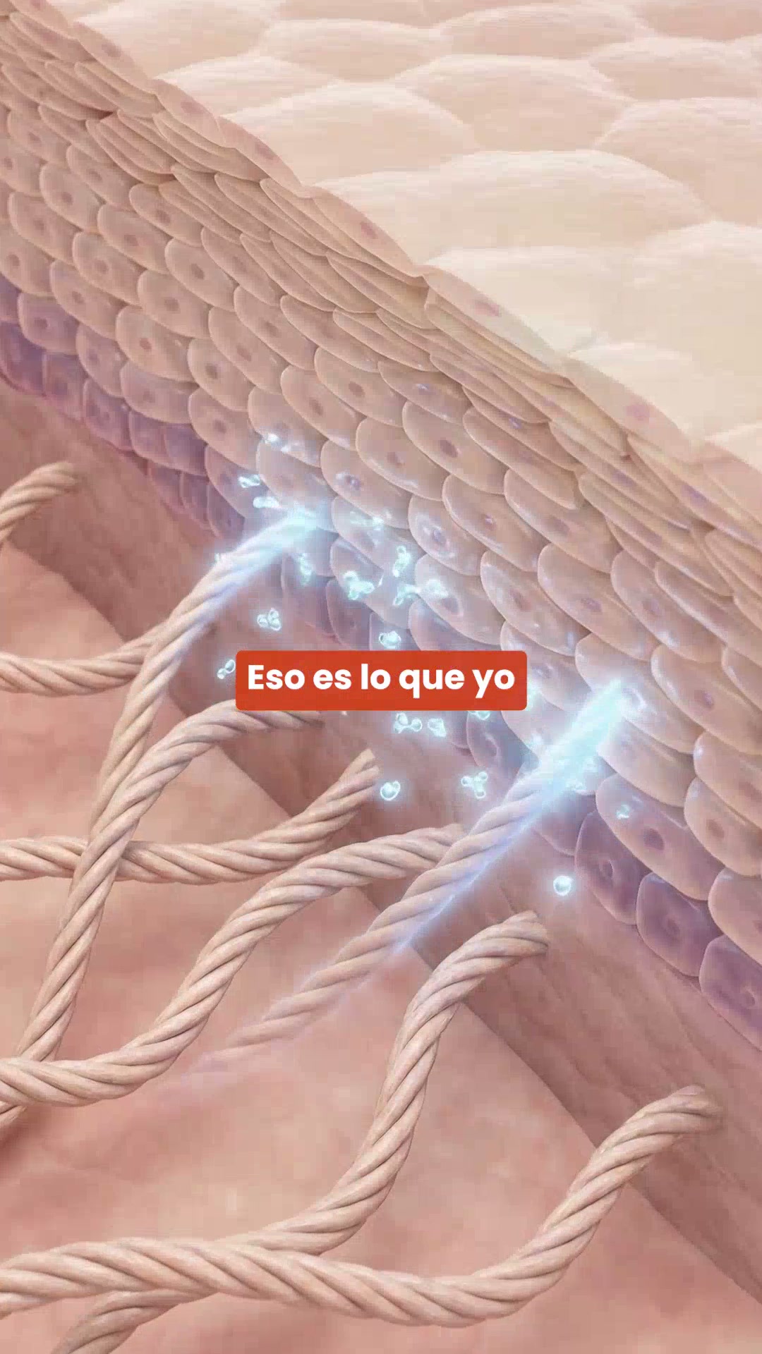 Pide ahora con un 25 % de descuento