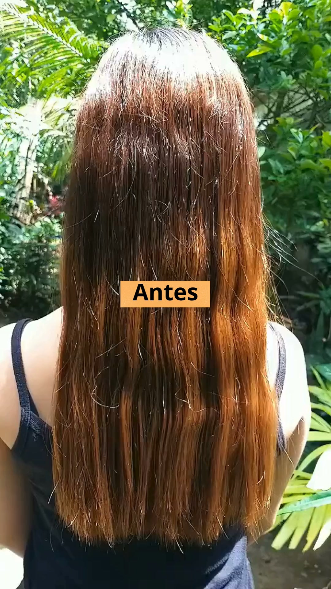 Dile adiós al frizz + REGALO