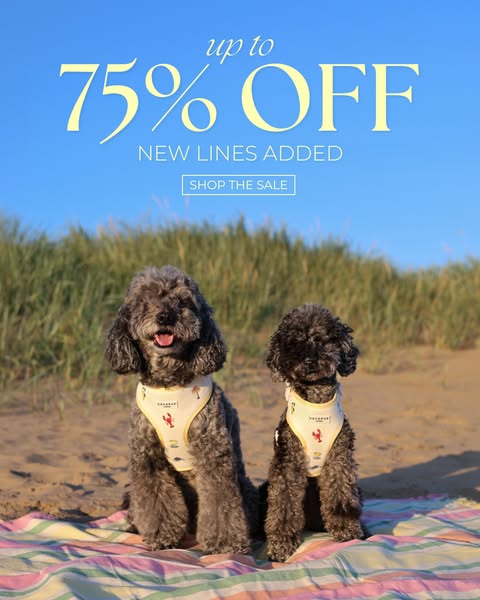 Up To 75% OFF