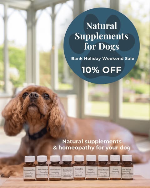 Canine Natural Cures | Natural Supplements for Dogs