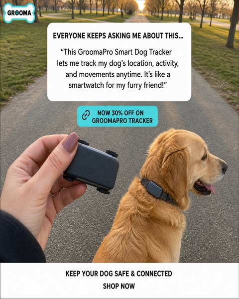 Dogs Get Lost In Seconds, Buy Now