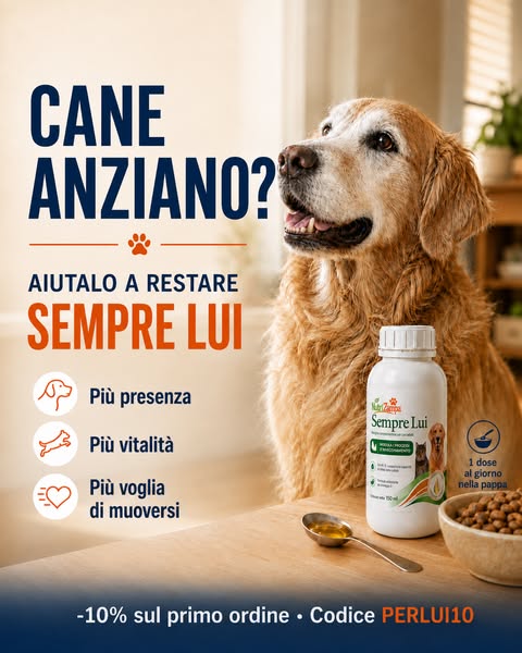 Aiutalo a restare Sempre Lui.