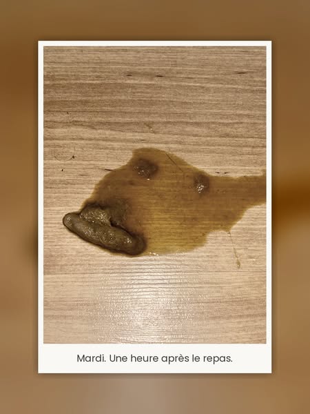Loki est mort à 6 ans. Simba a commencé à faire la même chose
