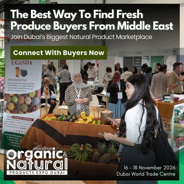 Connect With Top UAE Buyers