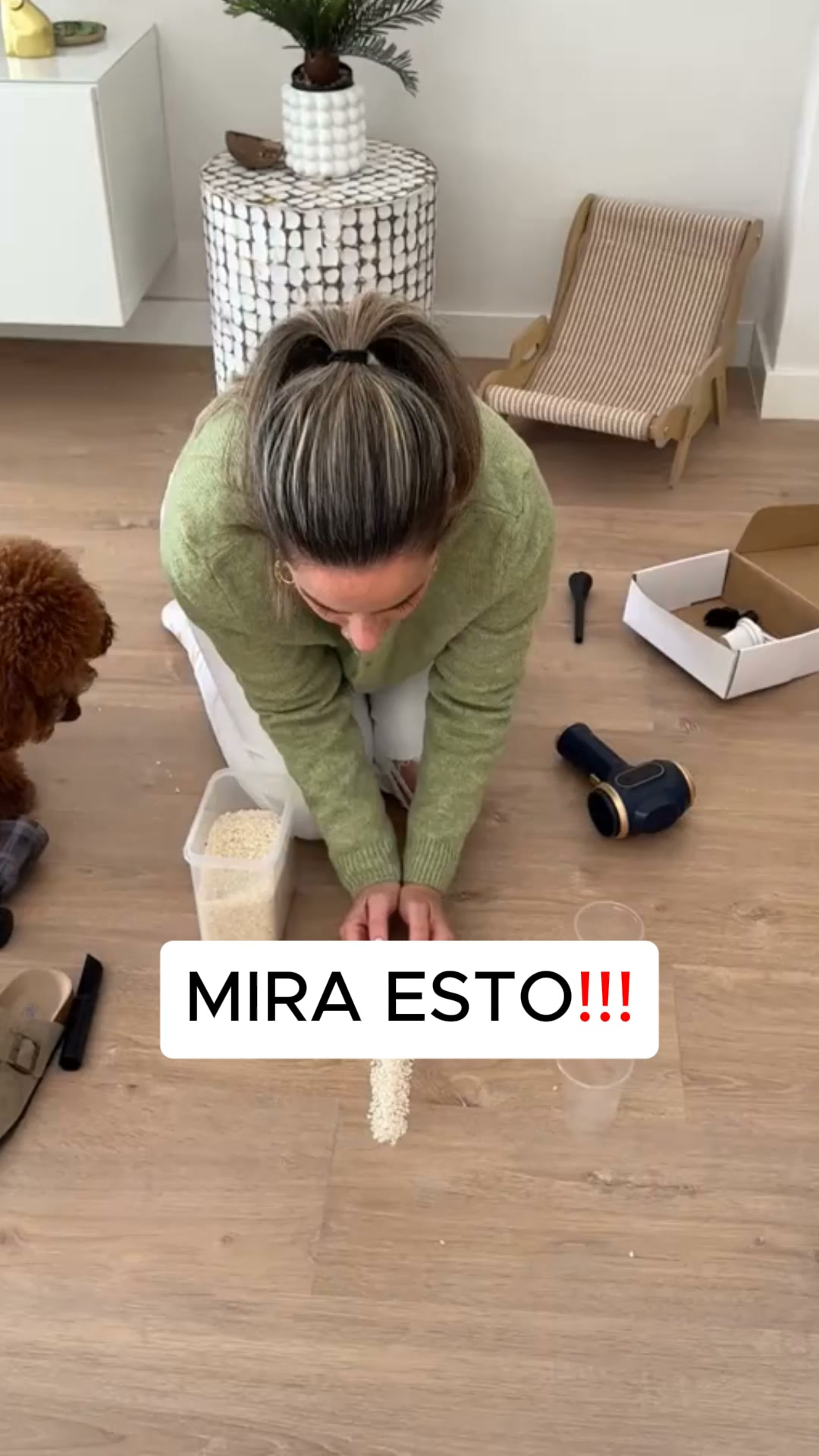 Envío GRATIS en 24h y Pago contrareembolso