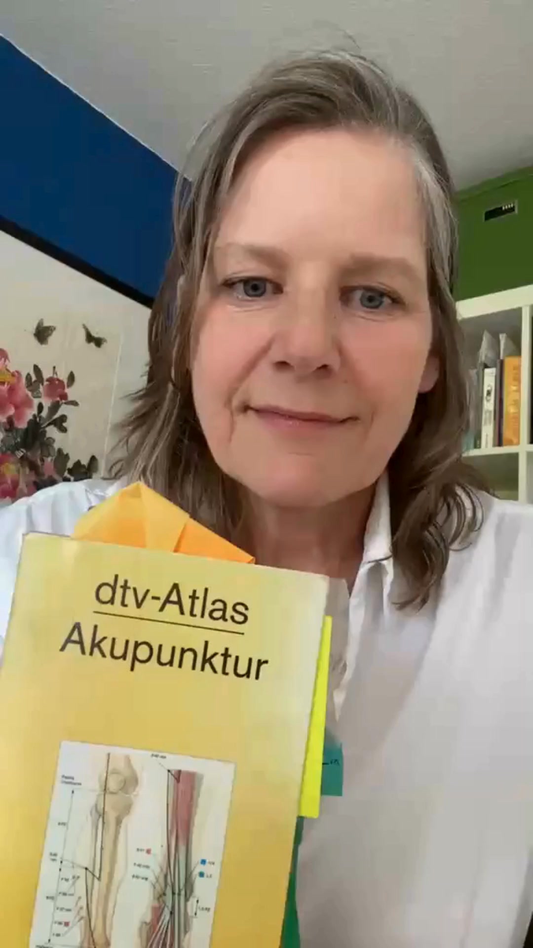 Webinar für 0€: Das System hinter der Akupunktur