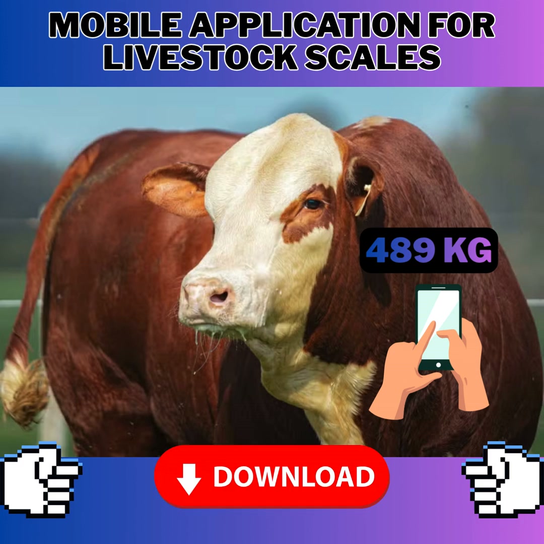 Livestock Scale on Your Phone