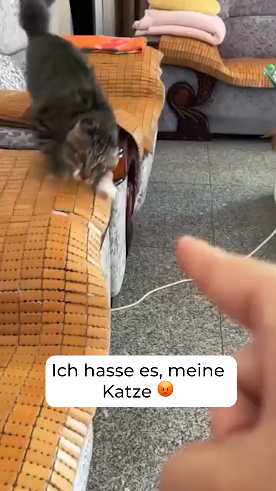 1+1 Neukunden Angebot