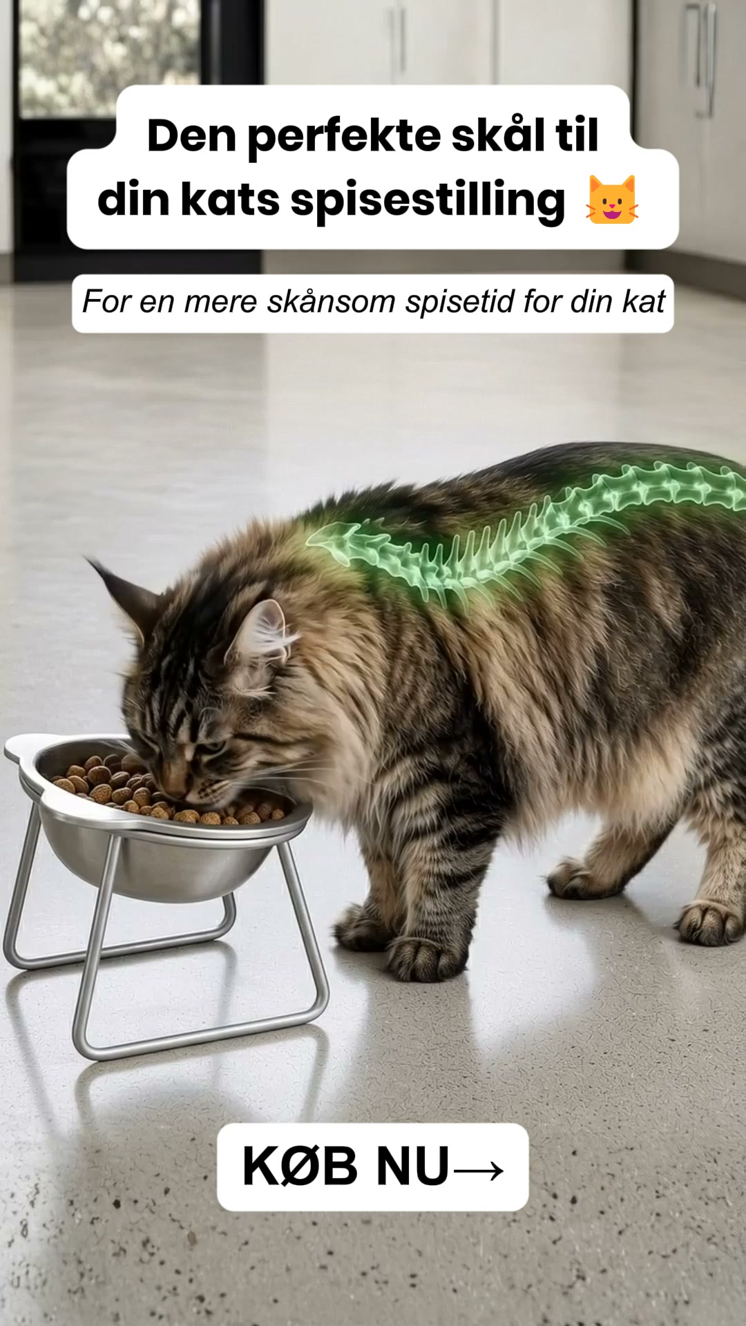 Smid plastikken ud. Opgrader spisetiden.