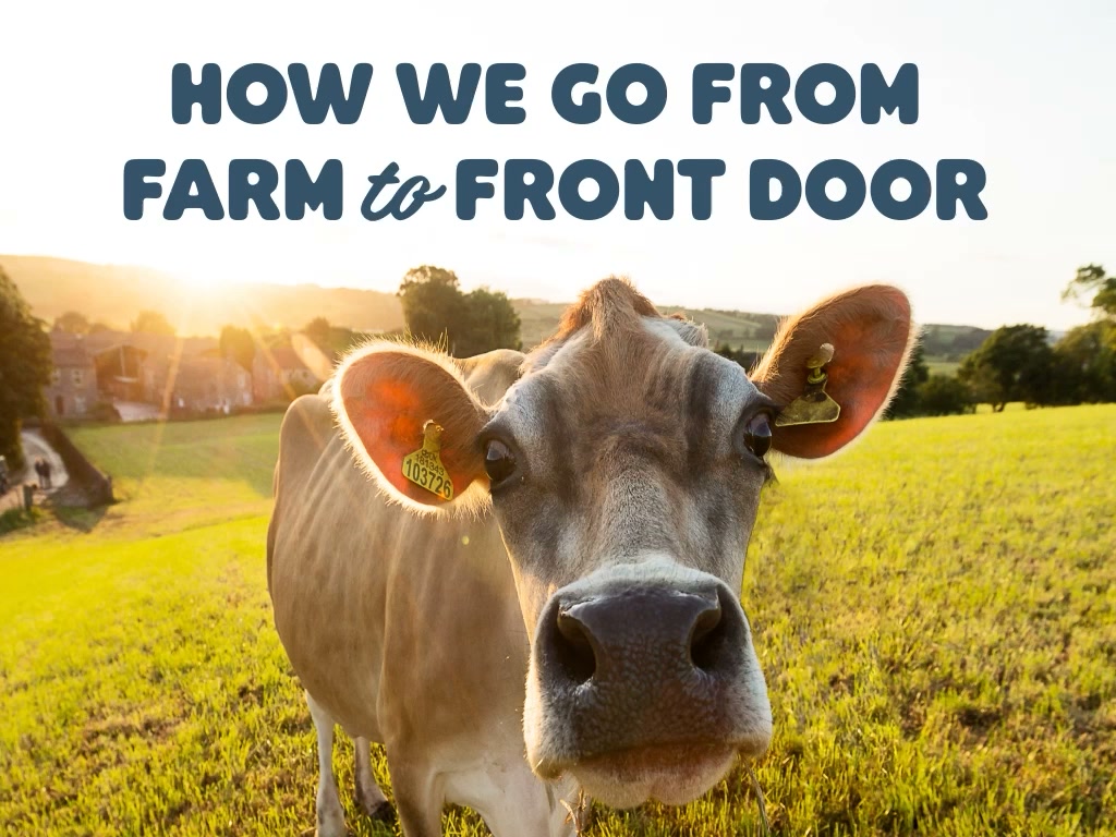 Get 50% OFF your first week of fresh groceries with code SIP50