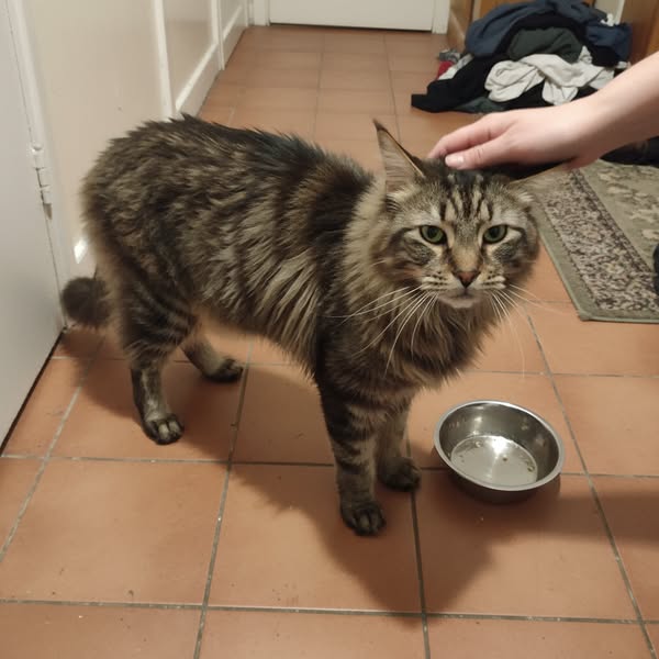16 anni, 3,6 kg e sempre affamata. 4,7 kg in 8 settimane