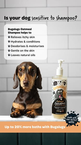 Soothe your dog's itchy Skin