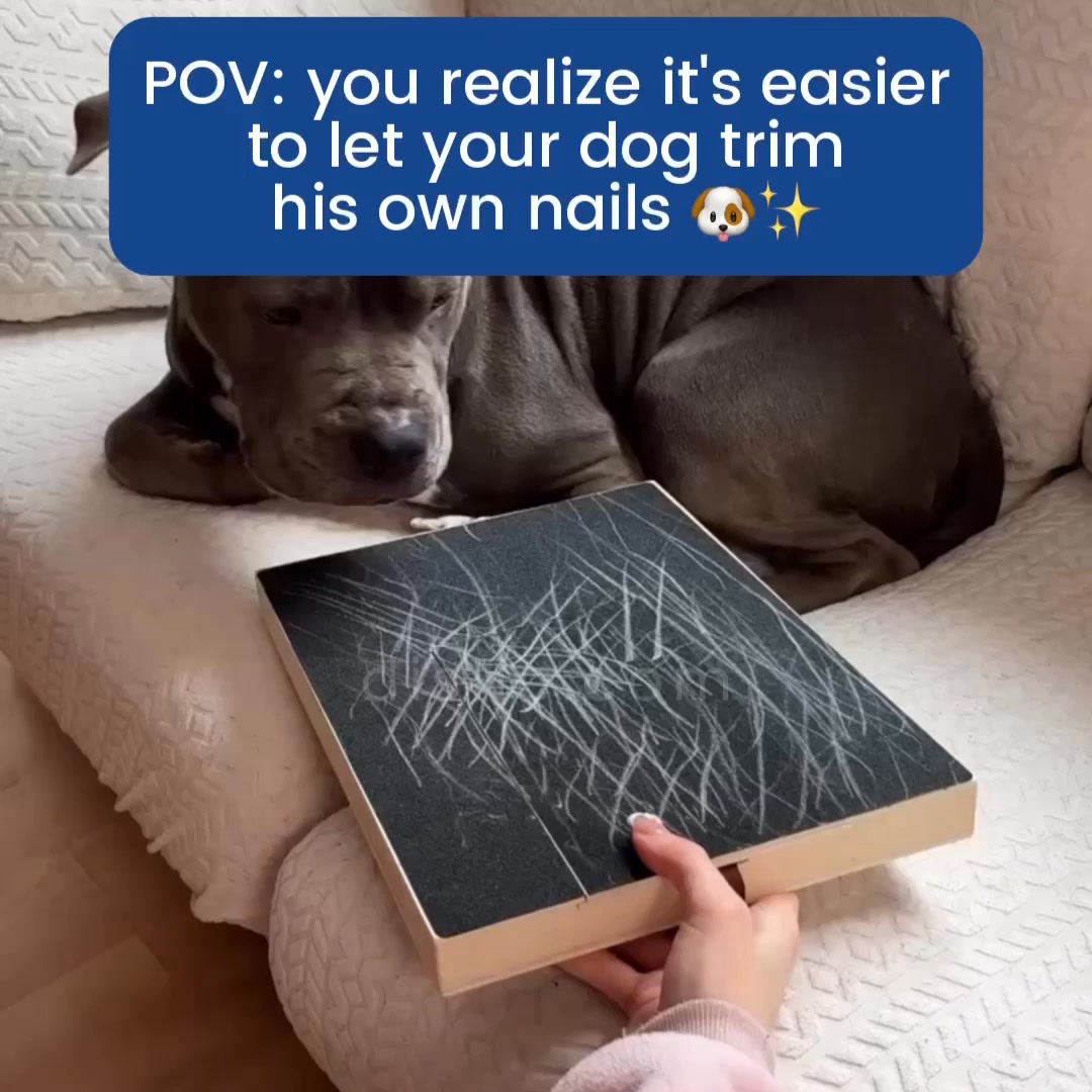 I thought i had to take her to the VET for sedated nail trimmings, UNTIL I FOUND THIS!
