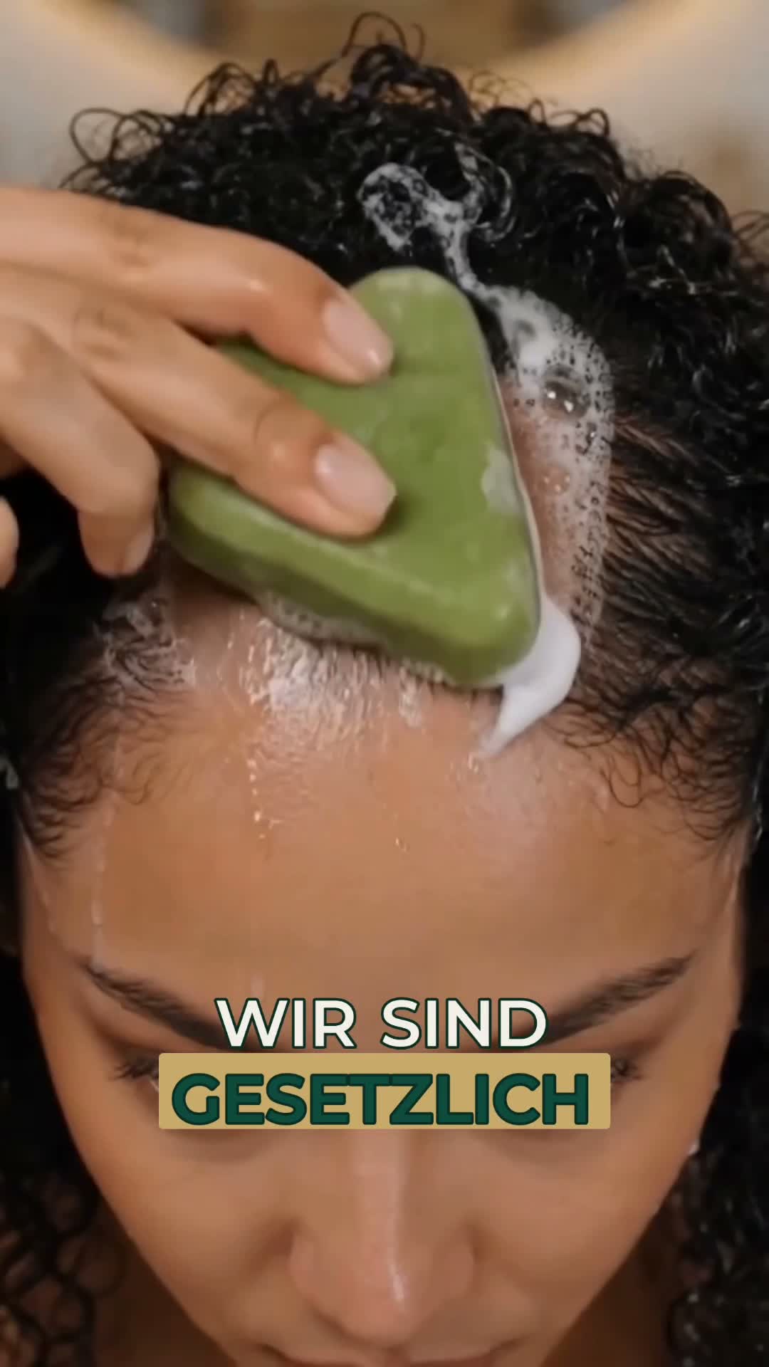 Root Revival entdecken