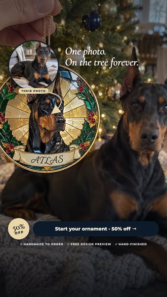 Christmas In July: 50% OFF