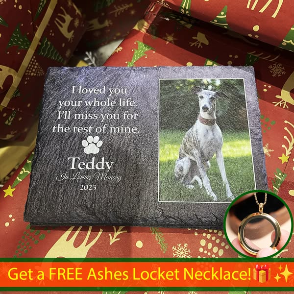 FREE Ashes Locket Necklace!