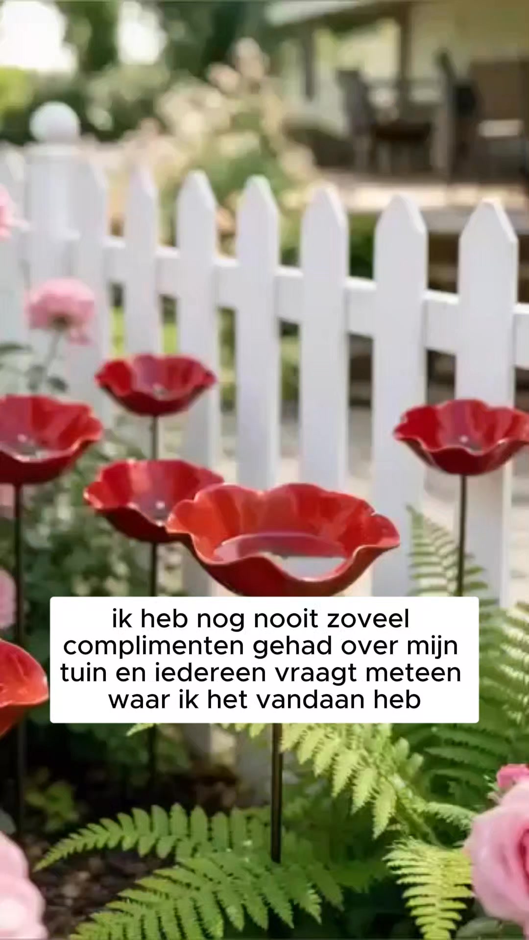 Een blikvanger voor elke tuin