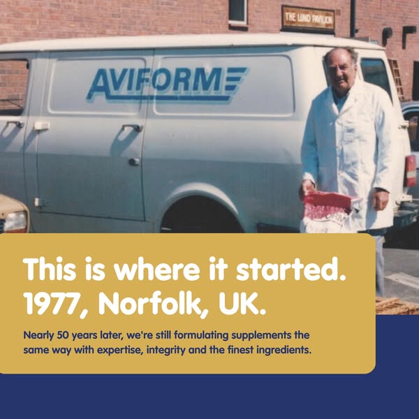 Where it started.