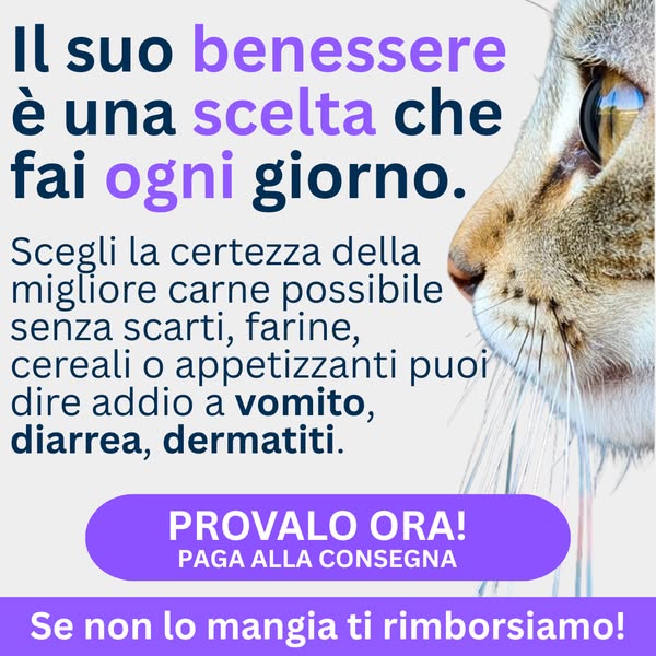 Paga anche alla consegna